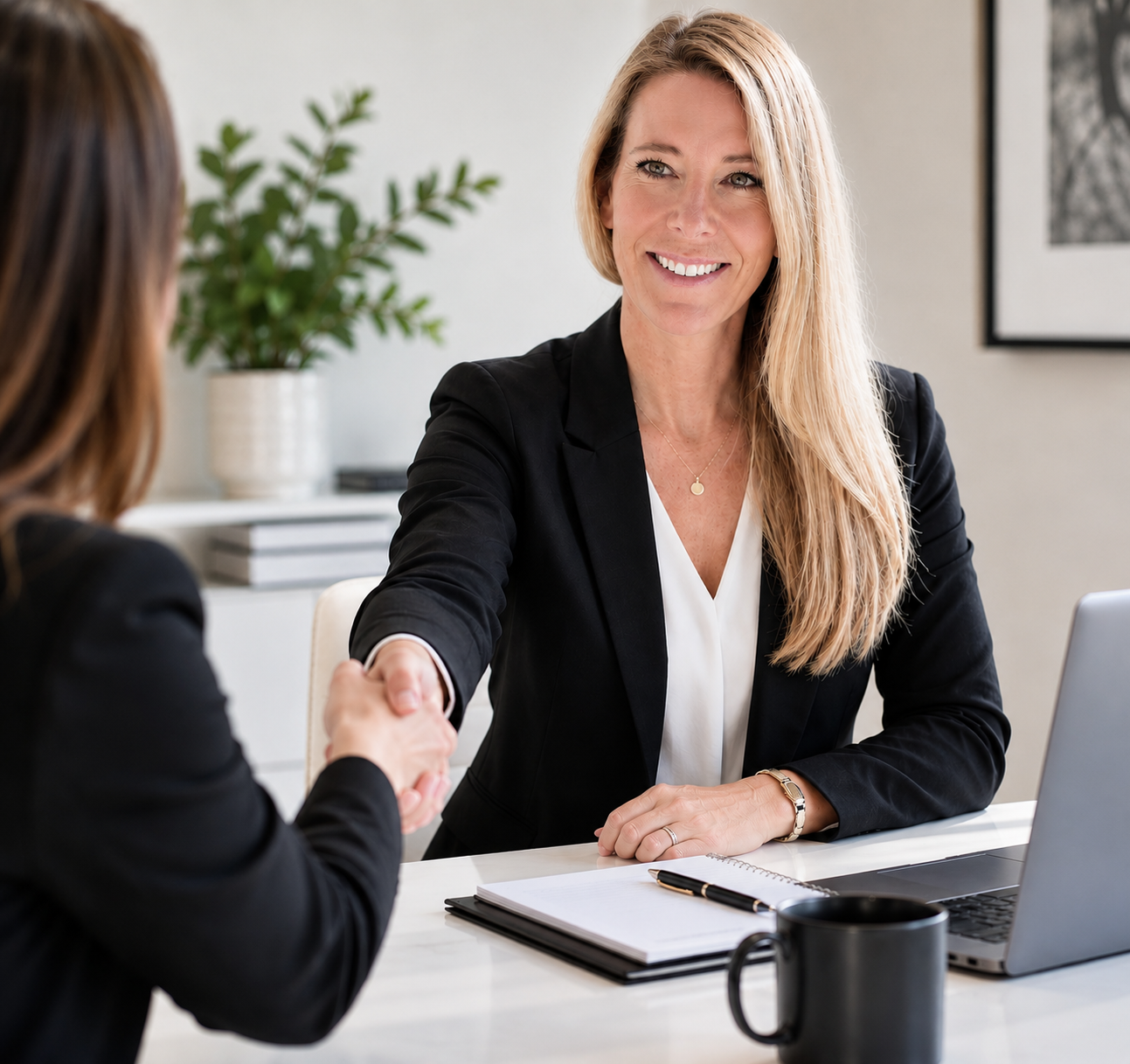 FemtekIT advisor meeting with a client